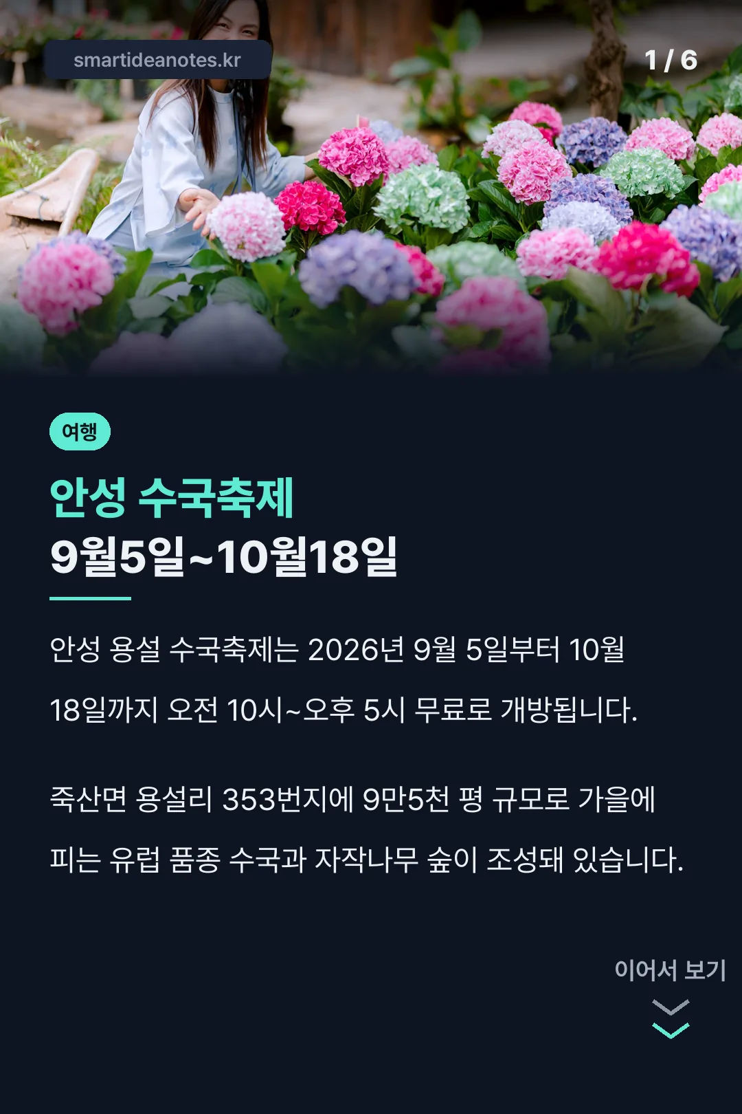 안성 수국축제 9월5일~10월18일