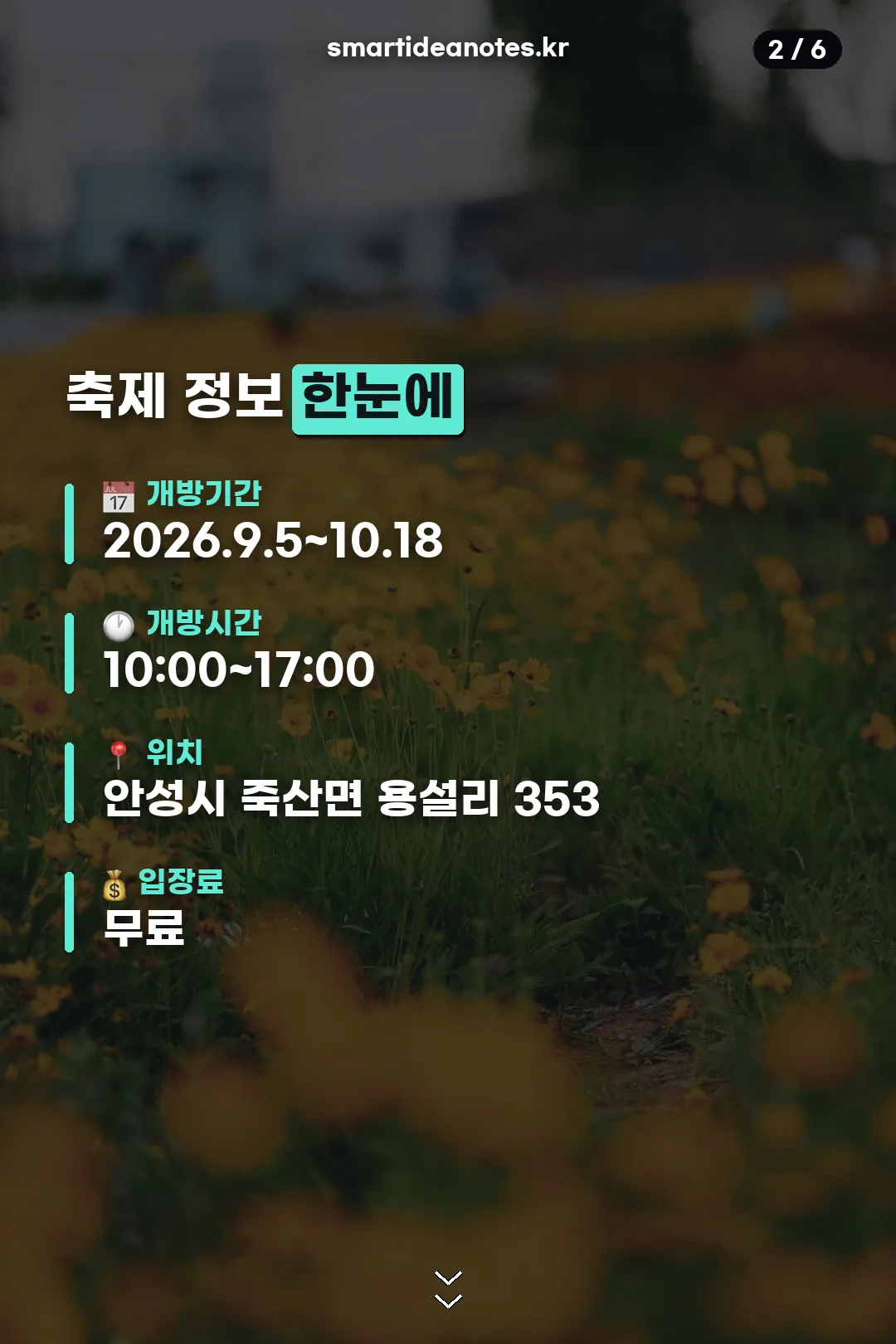 축제 정보 한눈에