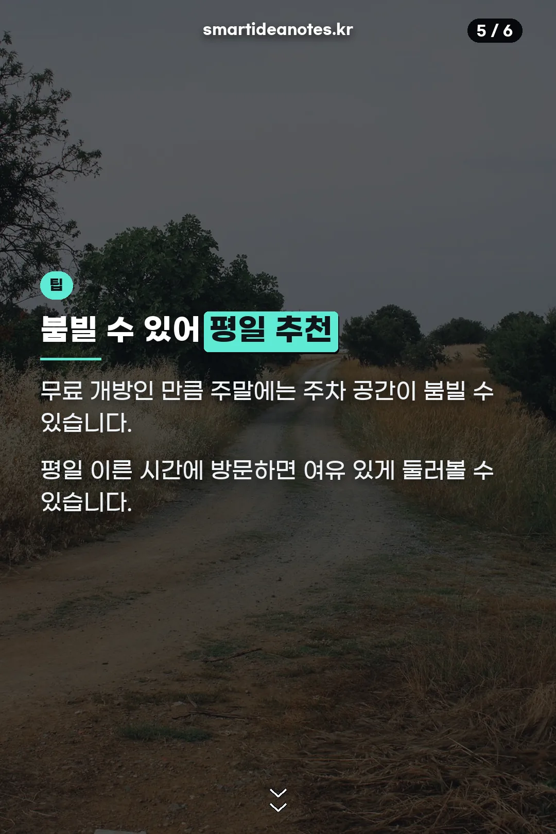 평일 방문 추천