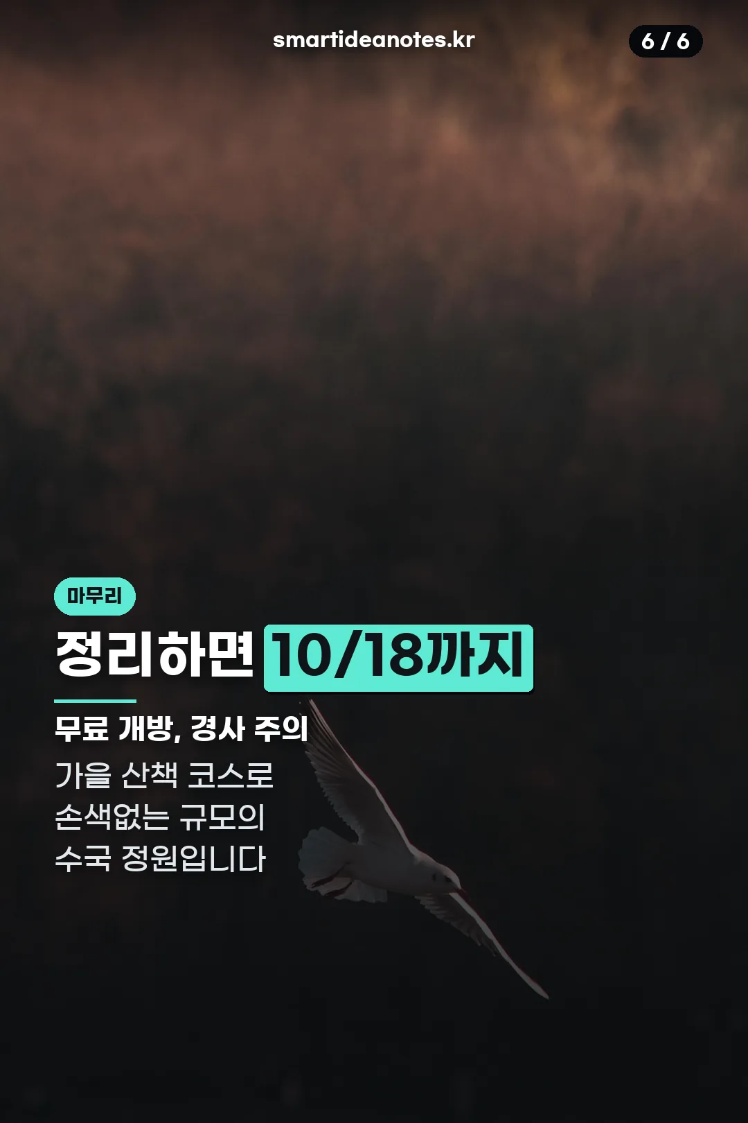 정리 및 마무리