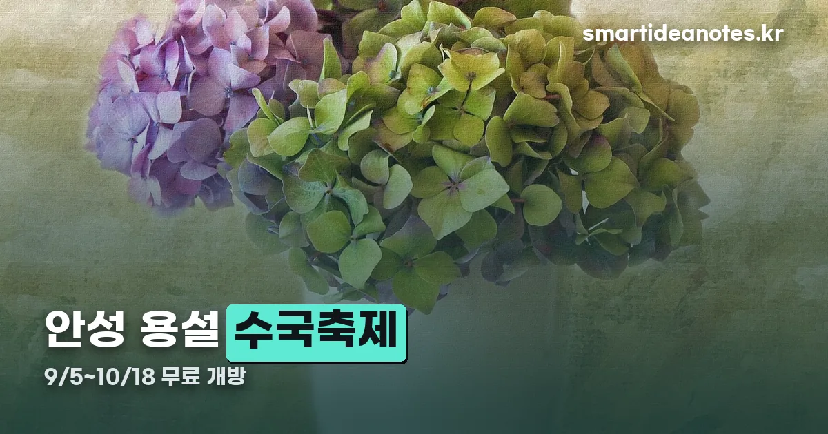 안성 용설 수국축제 정리 썸네일