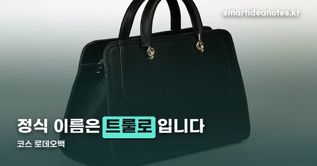 코스 로데오백 정리 썸네일