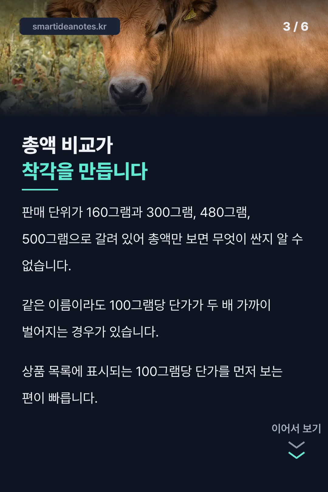 100g당 단가 비교