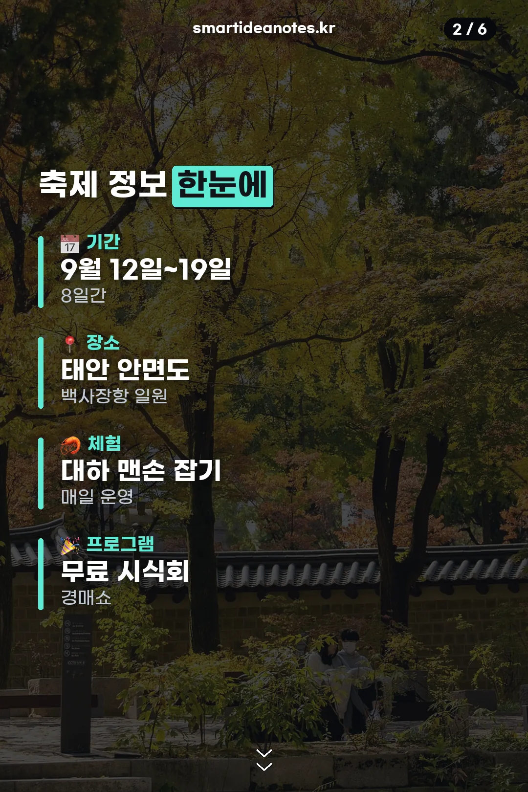 축제 기본정보 한눈에