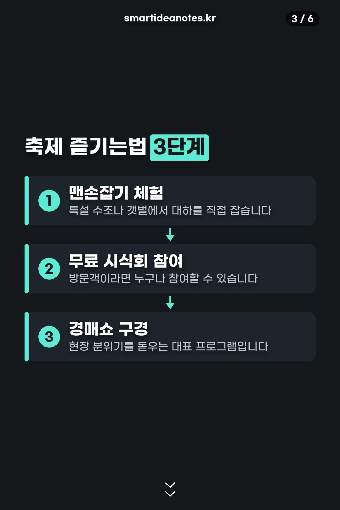 축제 즐기는 법 3단계