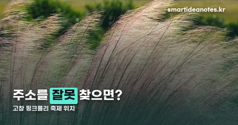 고창 핑크뮬리 축제 위치 정리 썸네일