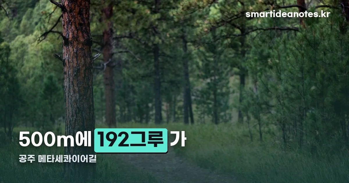공주 메타세콰이어길 정리 썸네일