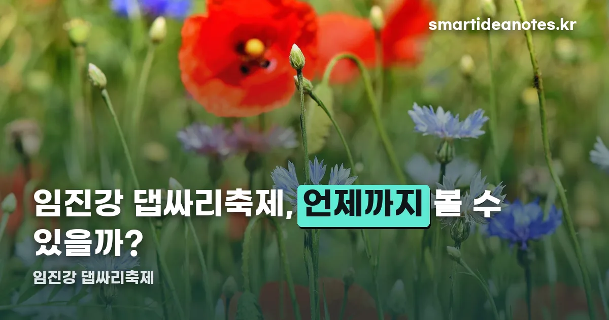 임진강 댑싸리축제 정리 썸네일